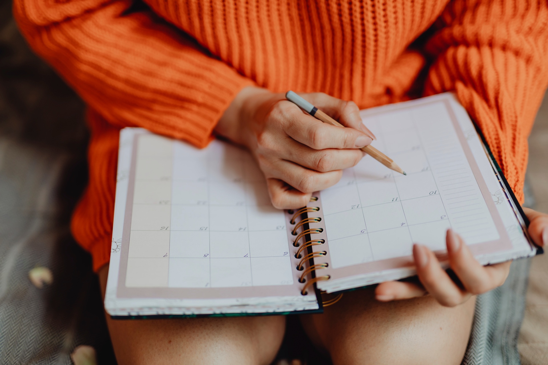 Learn what a schedule is and what its main functions are!